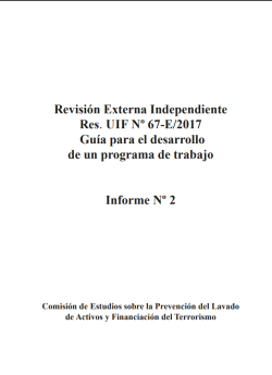 Informe Nº 2- Revisión externa independiente Res. UIF Nº 67-E/2017 Guía para el desarrollo de un programa de trabajo