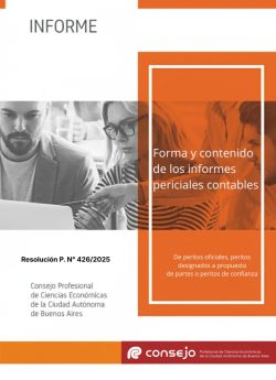 Informe - Forma y contenido de los informes periciales contables